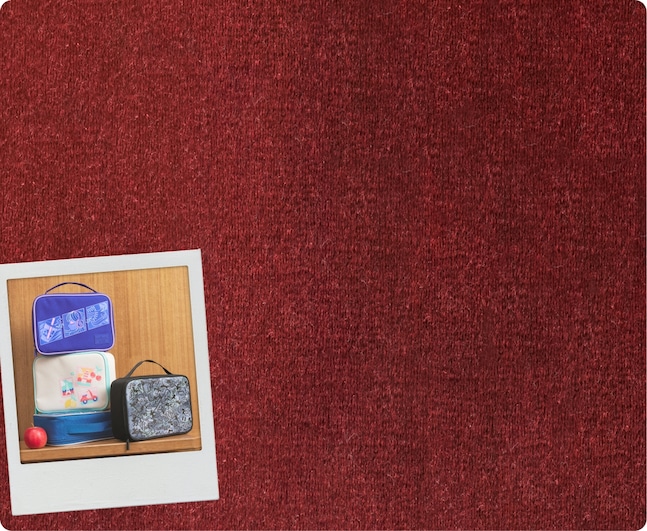 Collection Slide 8