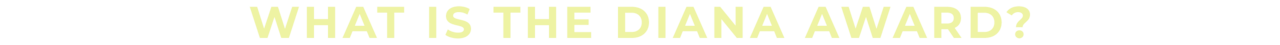 What is the Diana Award