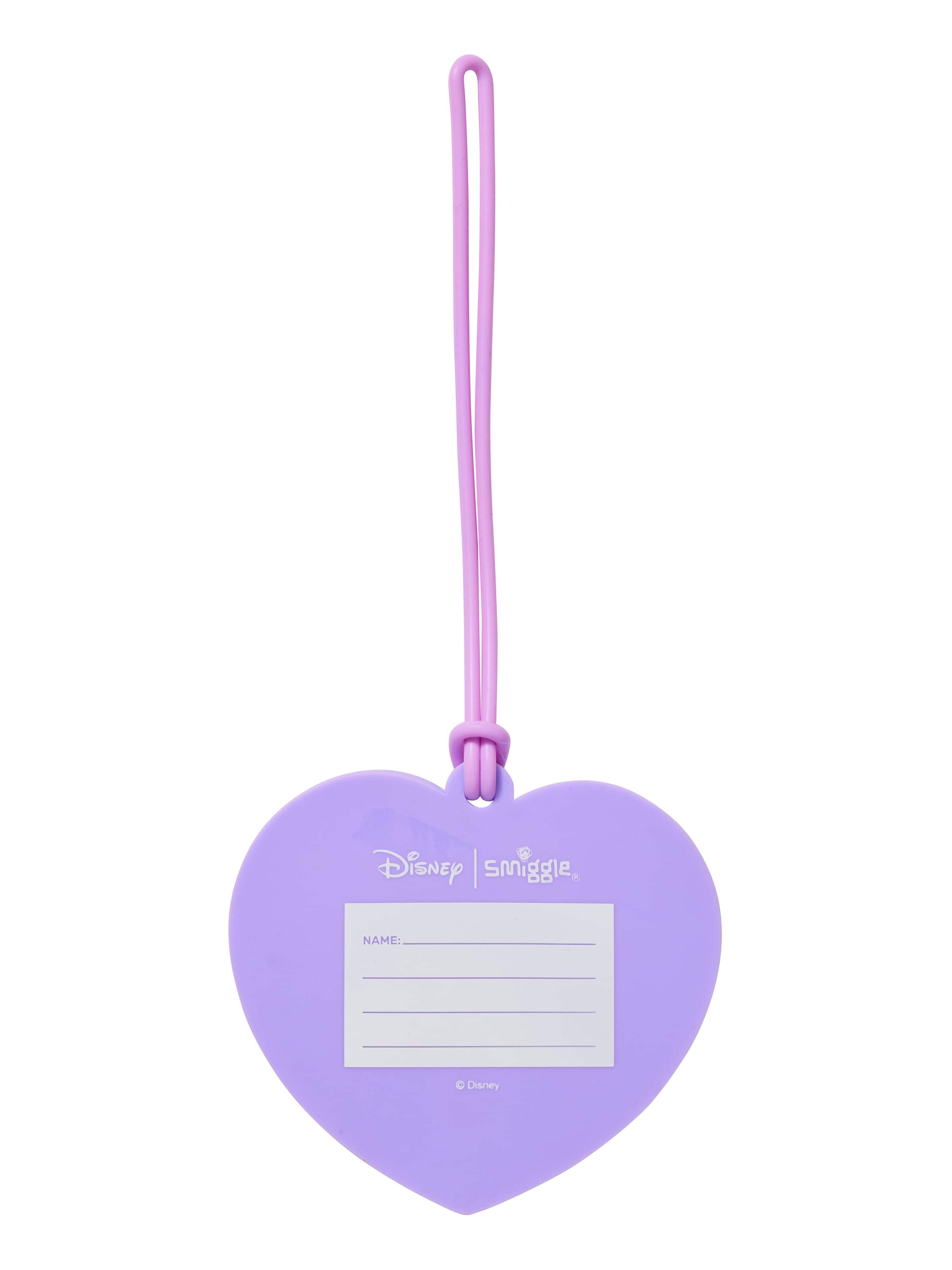 Disney Princess Bag Tag
