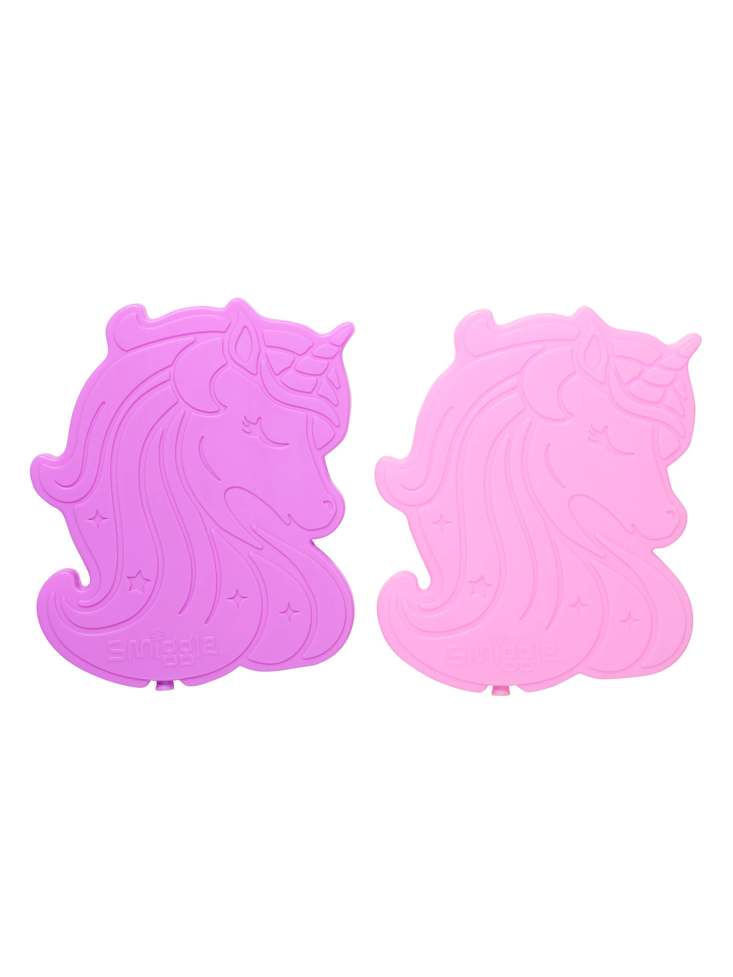 Character Freezer Brick X2