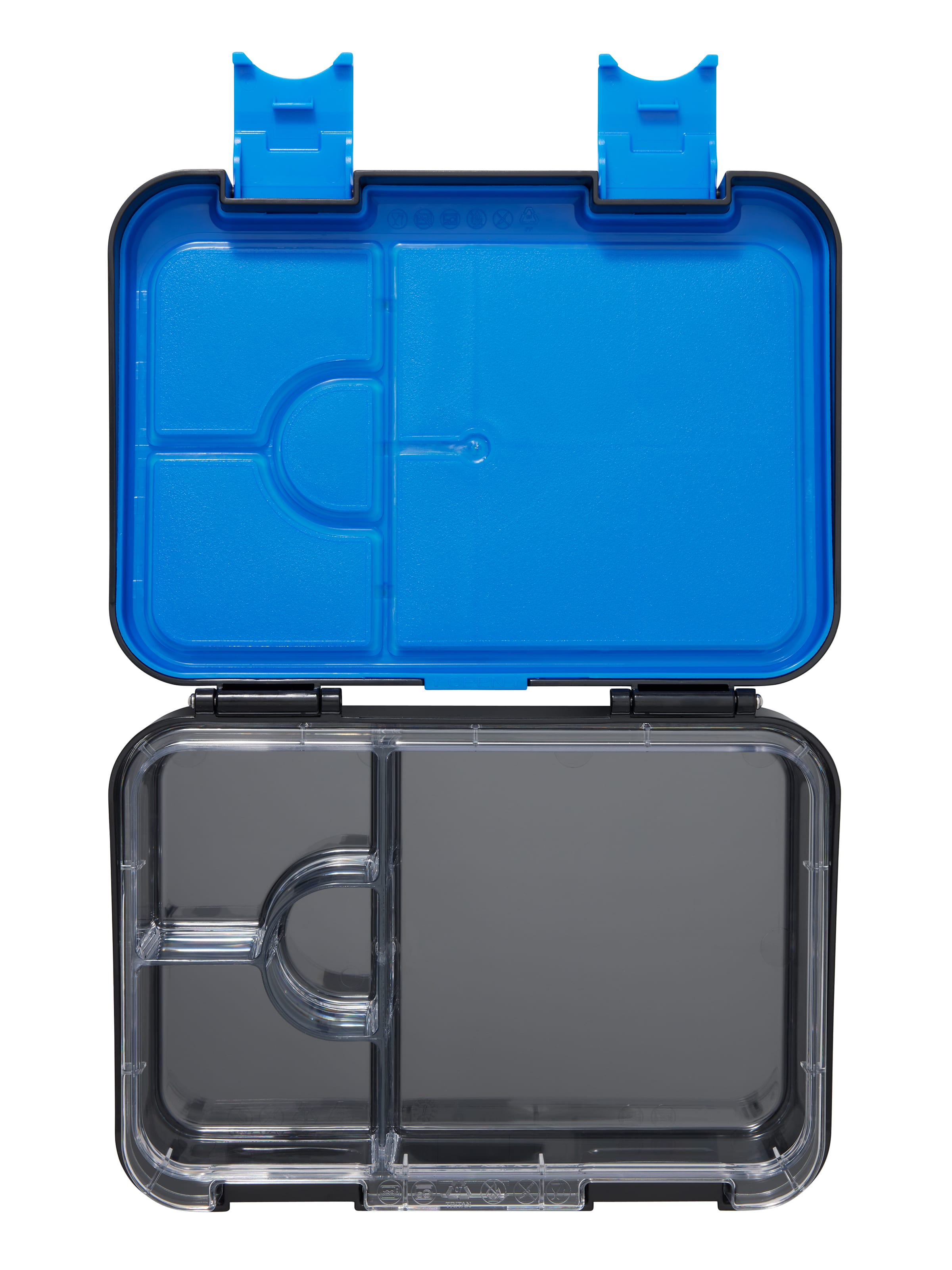 Curious Medium Bento Lunchbox