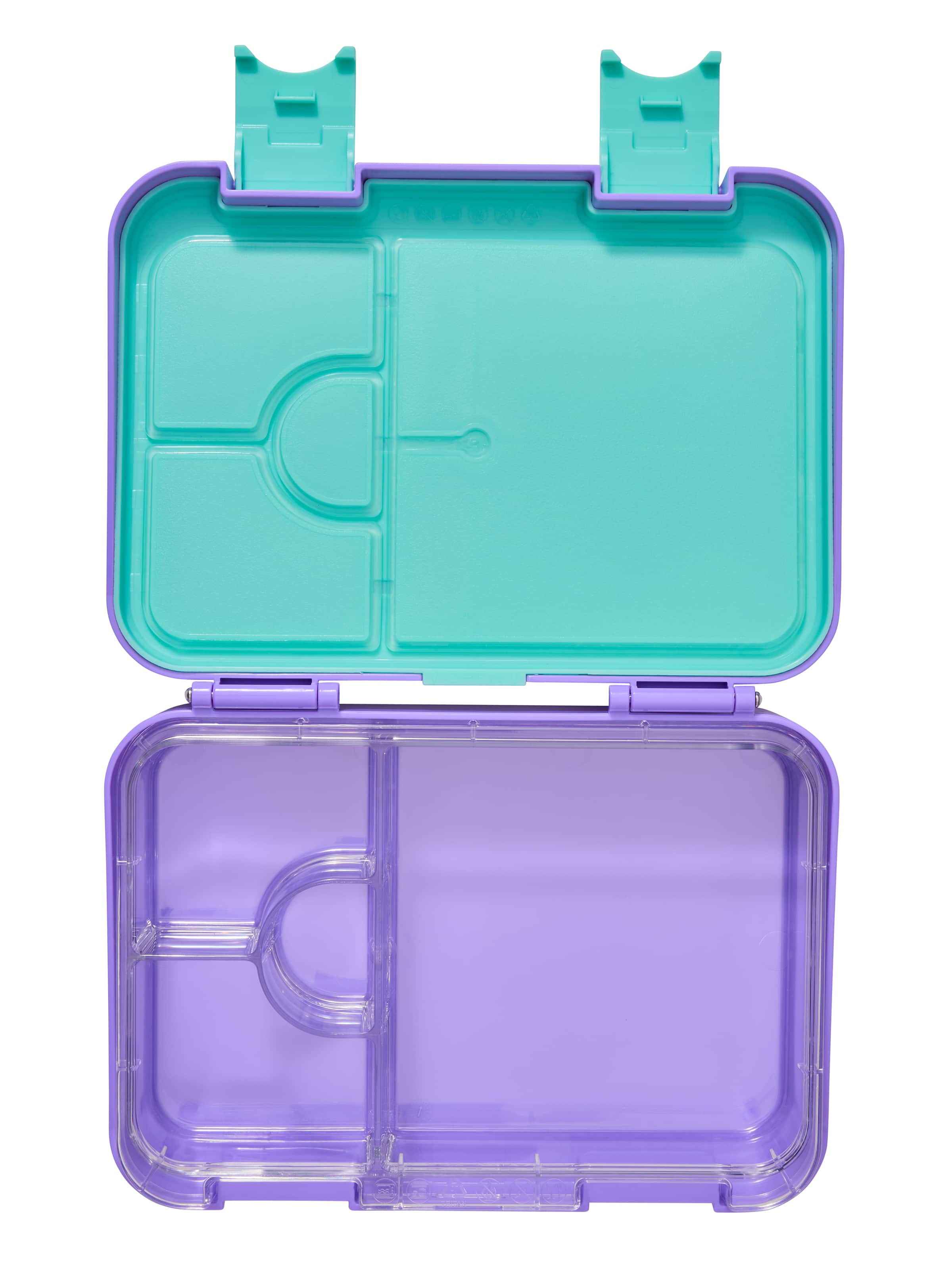 Curious Medium Bento Lunchbox