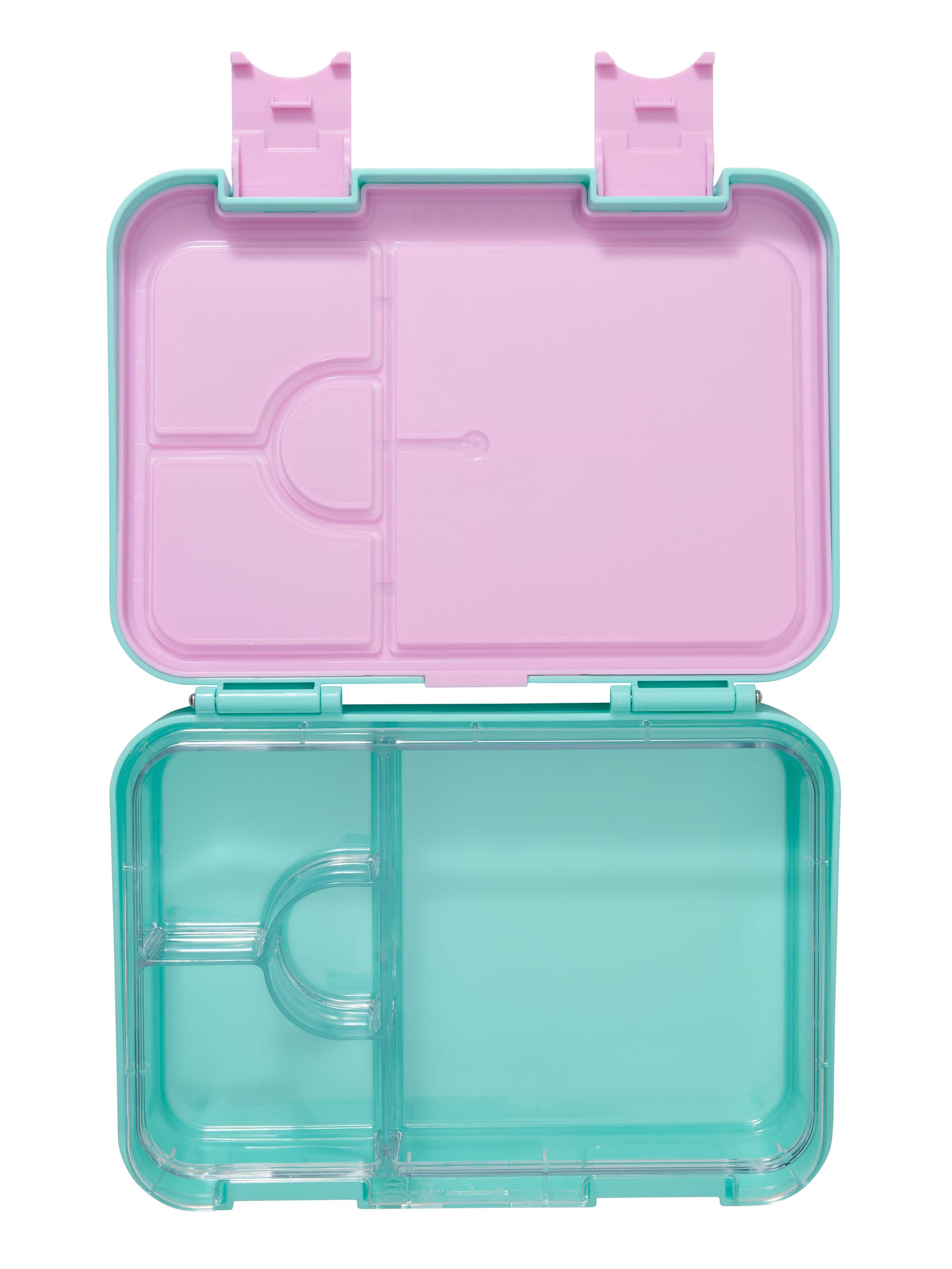 Curious Medium Bento Lunchbox