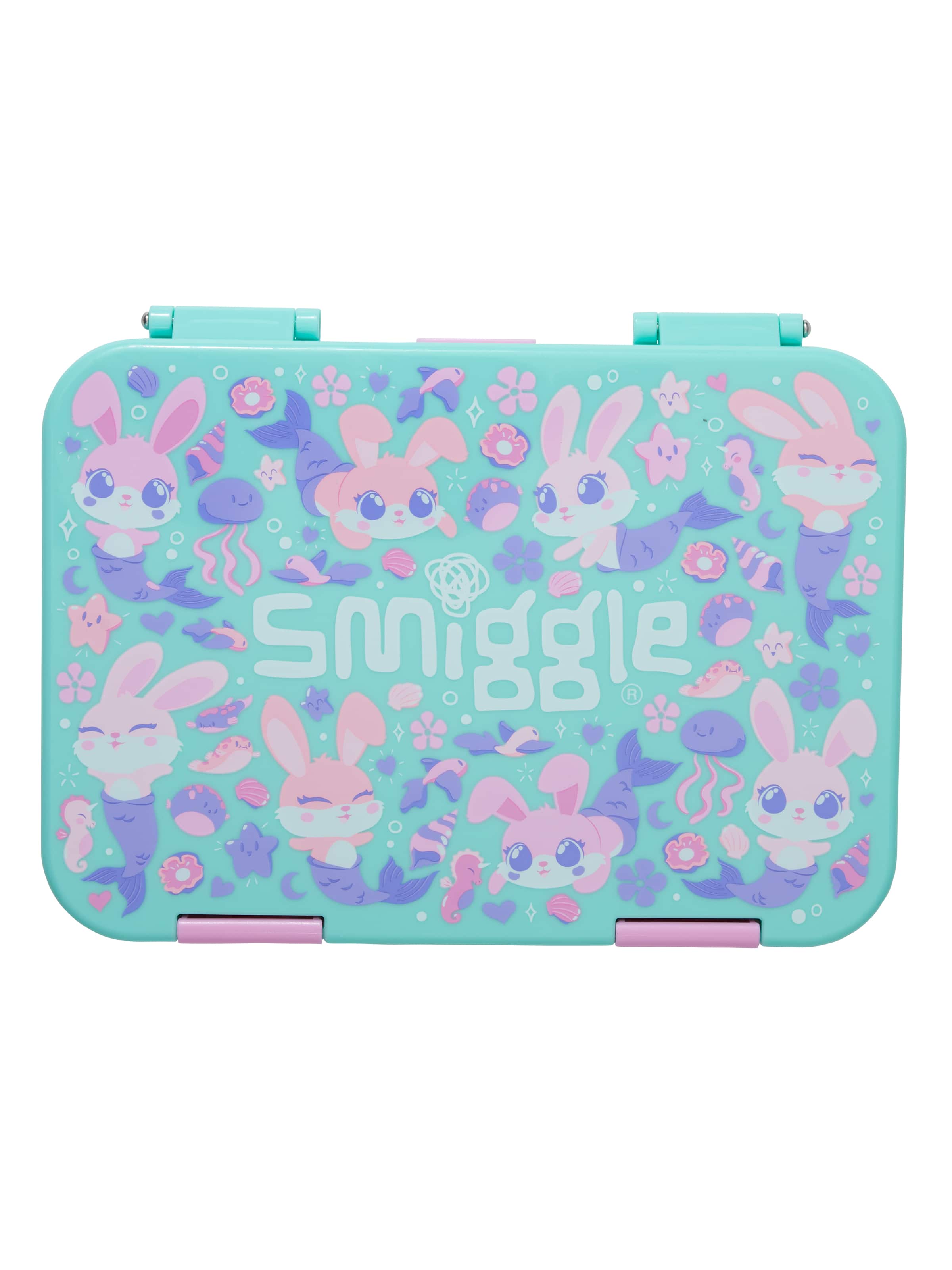 Curious Medium Bento Lunchbox
